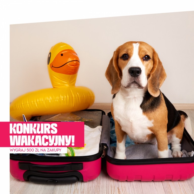 KLP_konkurs_www_2.jpg