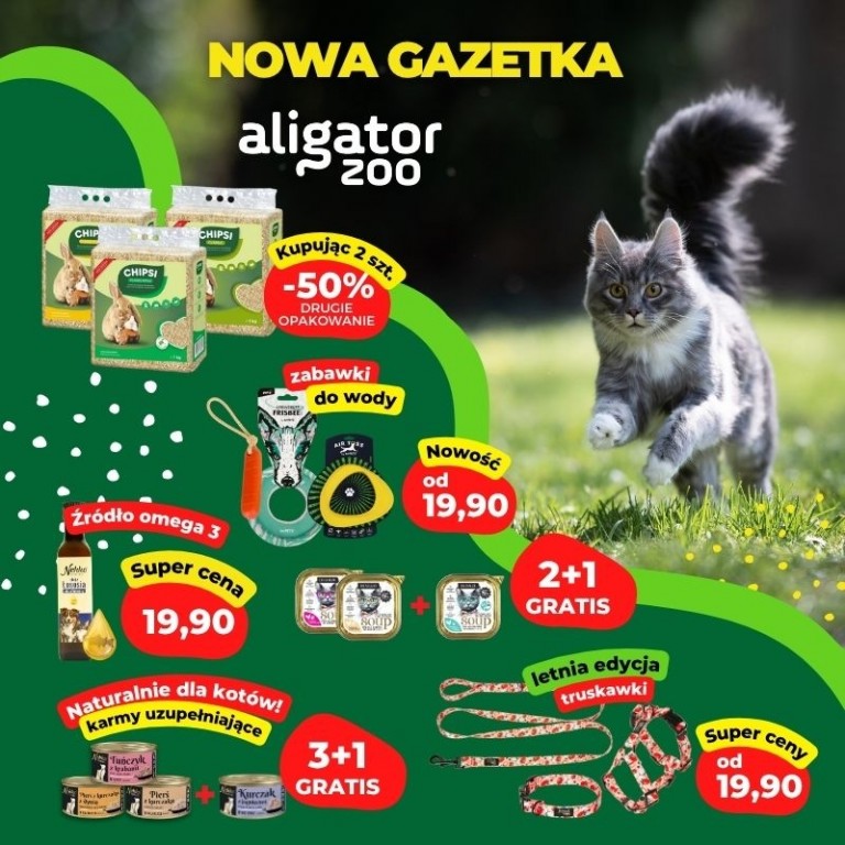 800x800px__0626_nowa_gazetka_Aligator_ZOO.jpg